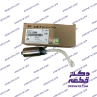 مغزی پمپ بنزین اصلی (Genuine) | کد فنی 311111R000
